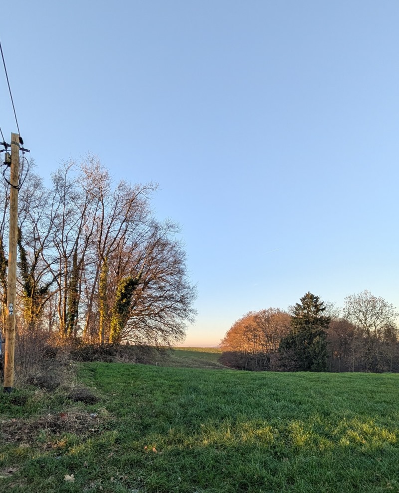 Winterlandschaft ohne Schnee